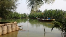 Coconut village